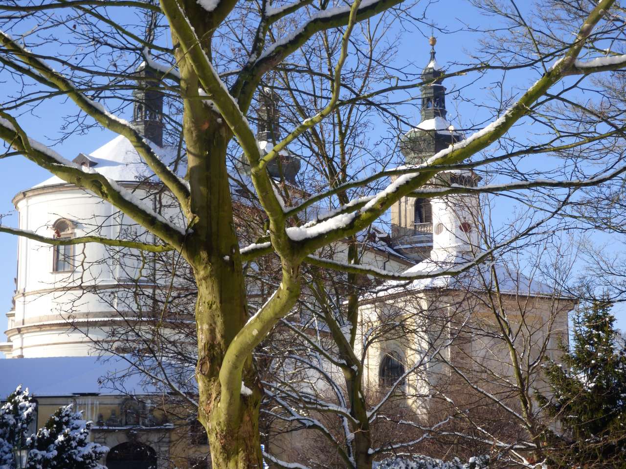 Česká mše vánoční v bazilice 26. 12.